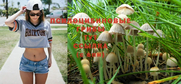 соль курить ск Бородино
