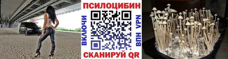 Псилоцибиновые грибы Magic Shrooms  Подольск 